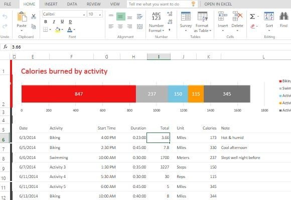 Activity Template Excel