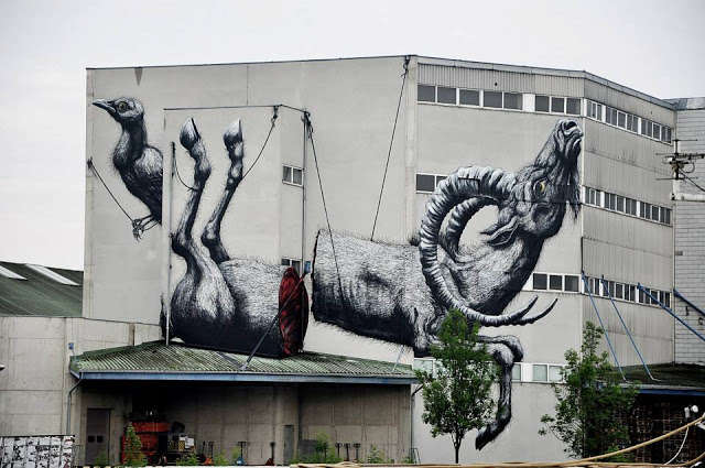 Animal Cruelty Graffiti