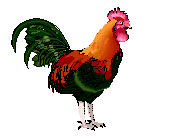 Animasi Anak Ayam