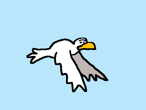 Animasi Burung Terbang