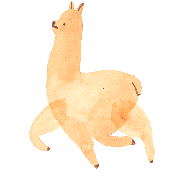 Animated Llama Gif