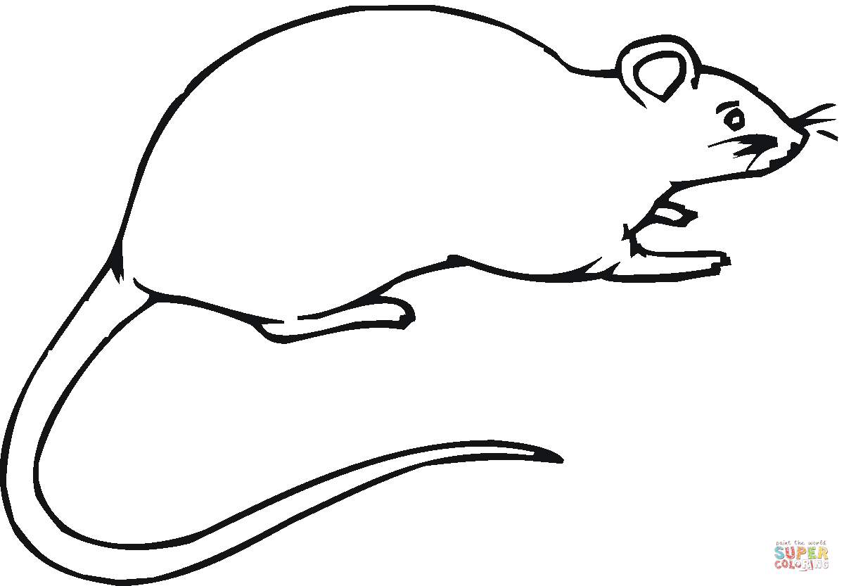 Ausmalbild Ratte