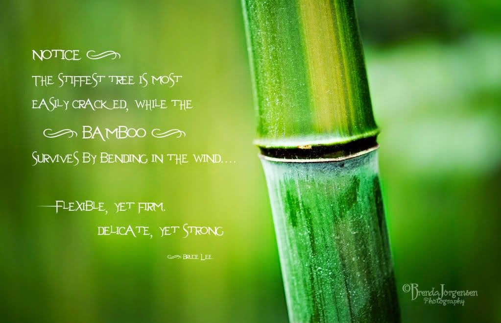 Bamboo Tree Quotes