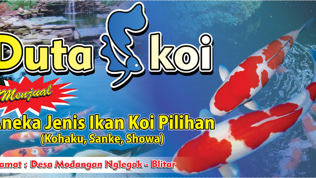 Banner Ikan Koi