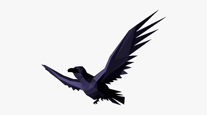Bird Flying 2d Animation
