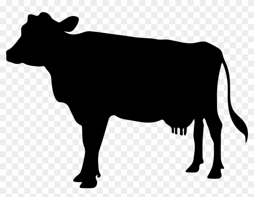 Black Cow Png