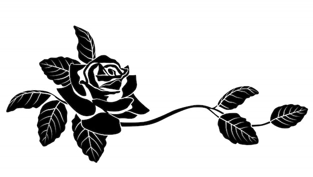 Black Rose Vector