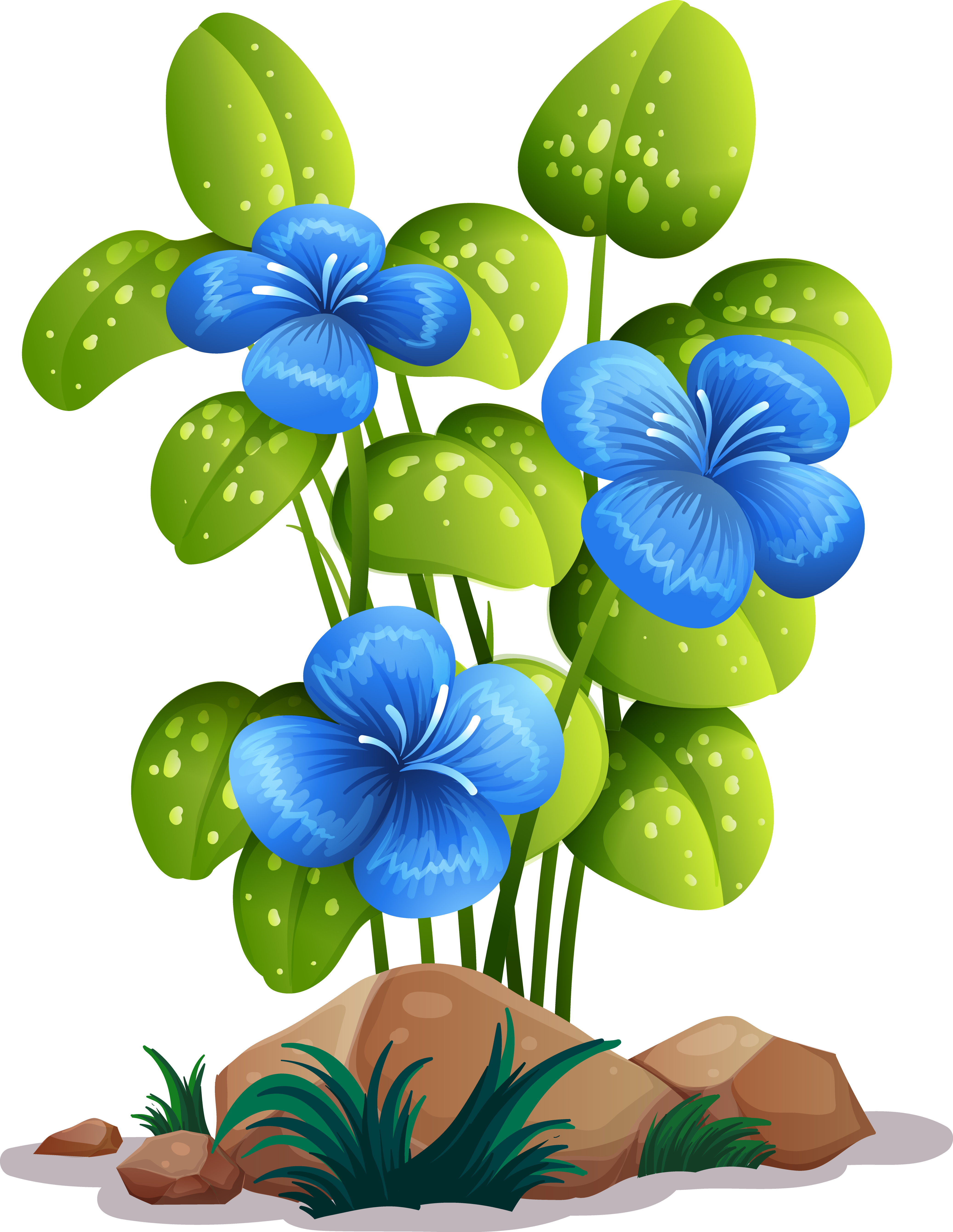 Blaue Blumen Hintergrund