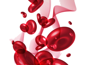 Blood Cells Png