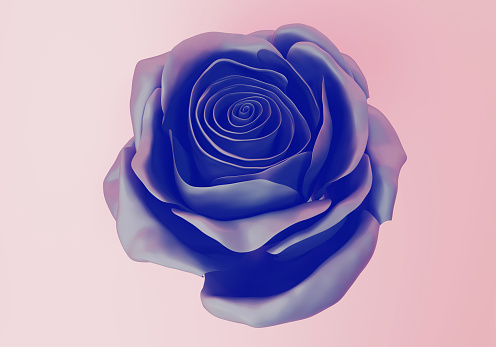 Blue Rose Tumblr Backgrounds