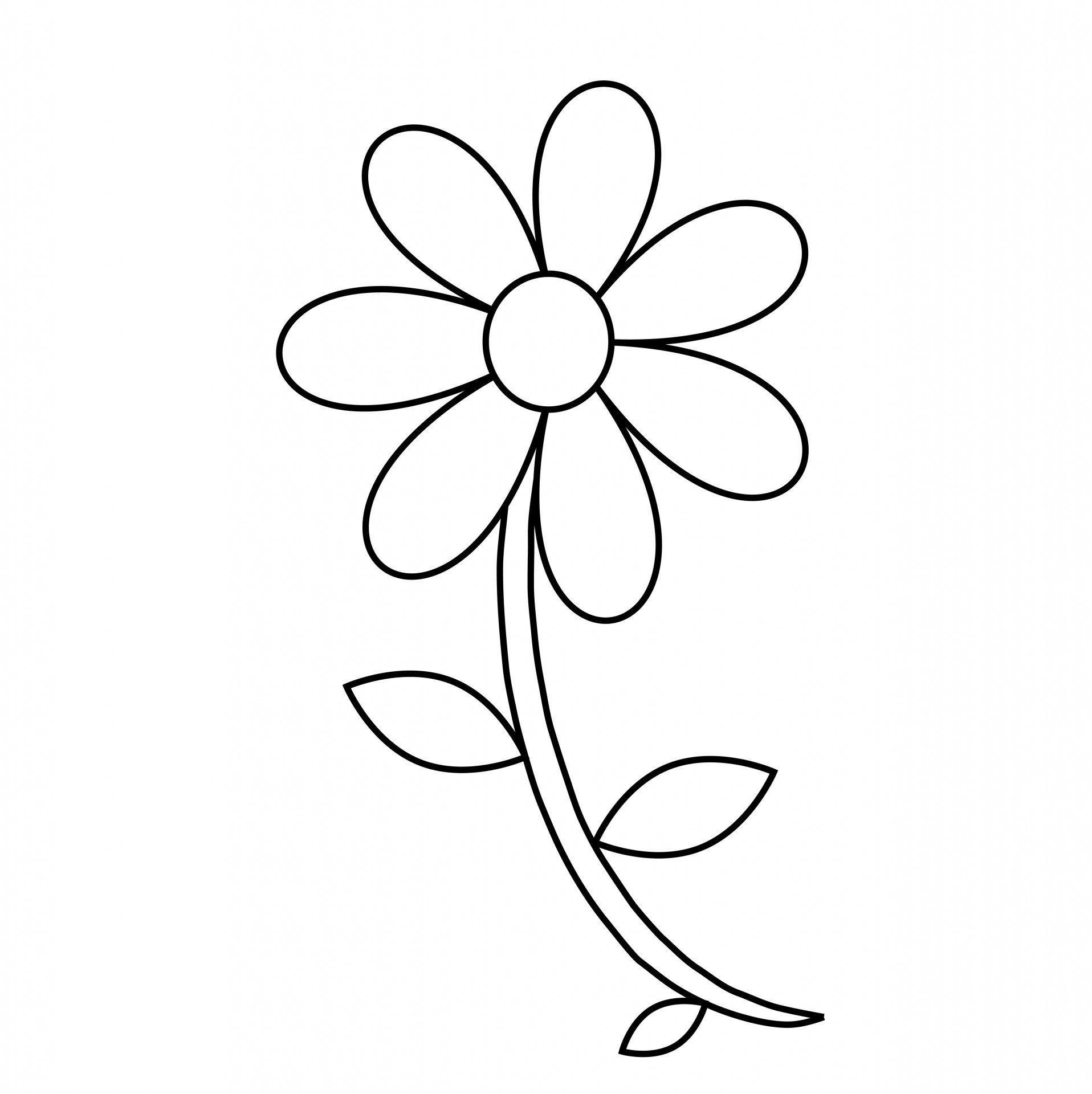 Blumenwiese Zeichnen