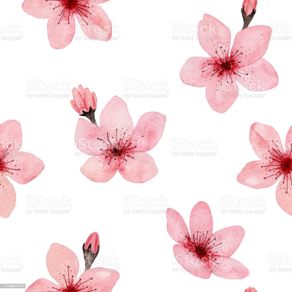 Bunga Sakura Yang Mudah Digambar