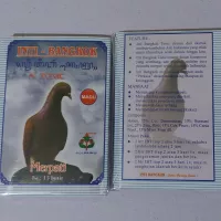 Burung Dara Garong
