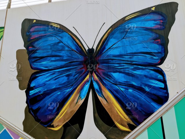 Butterfly Graffiti