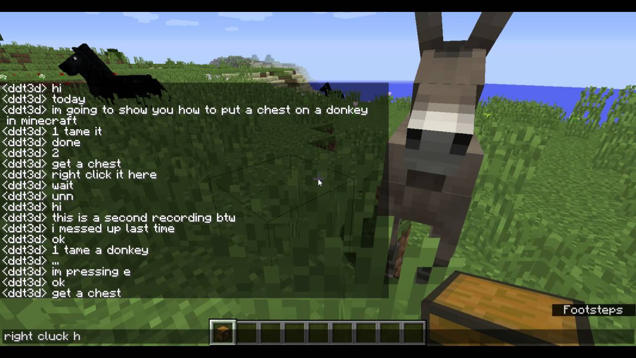 Can You Put A Chest On A Donkey In Minecraft