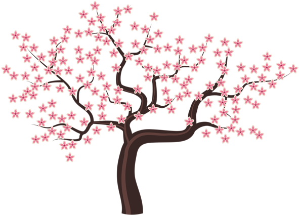 Cara Gambar Bunga Sakura Hitam Putih