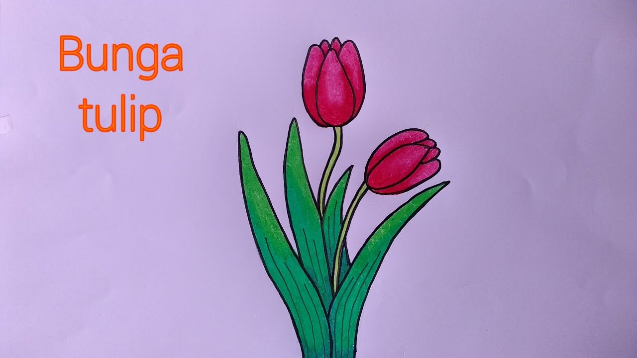 Cara Gambar Bunga Tulip
