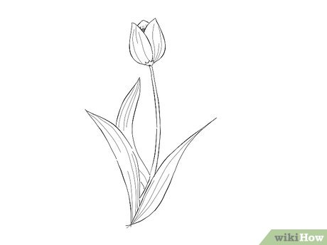 Cara Gambar Bunga Yang Gampang Digambar