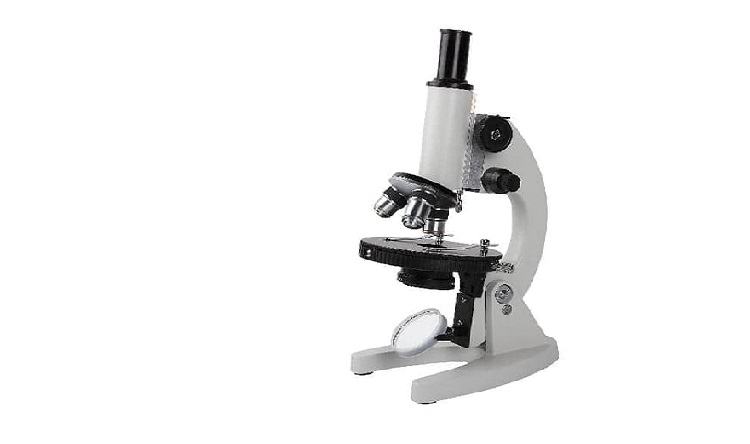 Cara Gambar Mikroskop