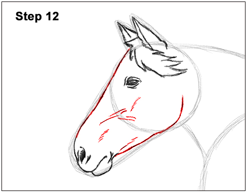 Cara Membuat Gambar Kuda