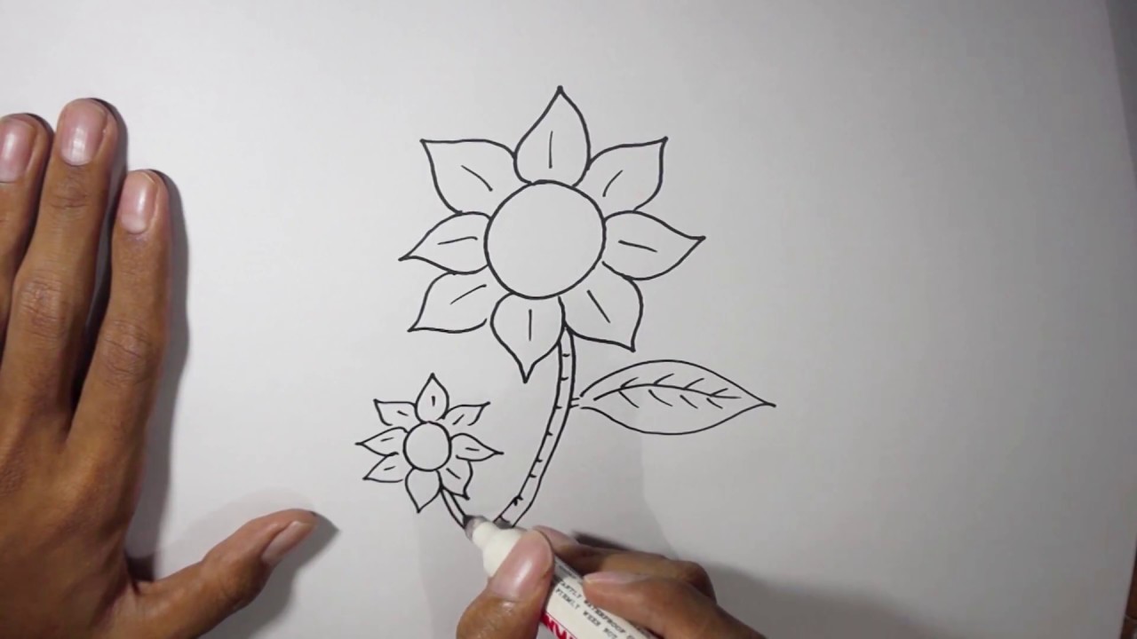 Cara Menggambar Bunga Di Kertas Hvs
