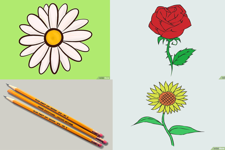 Cara Menggambar Bunga Mawar Mudah