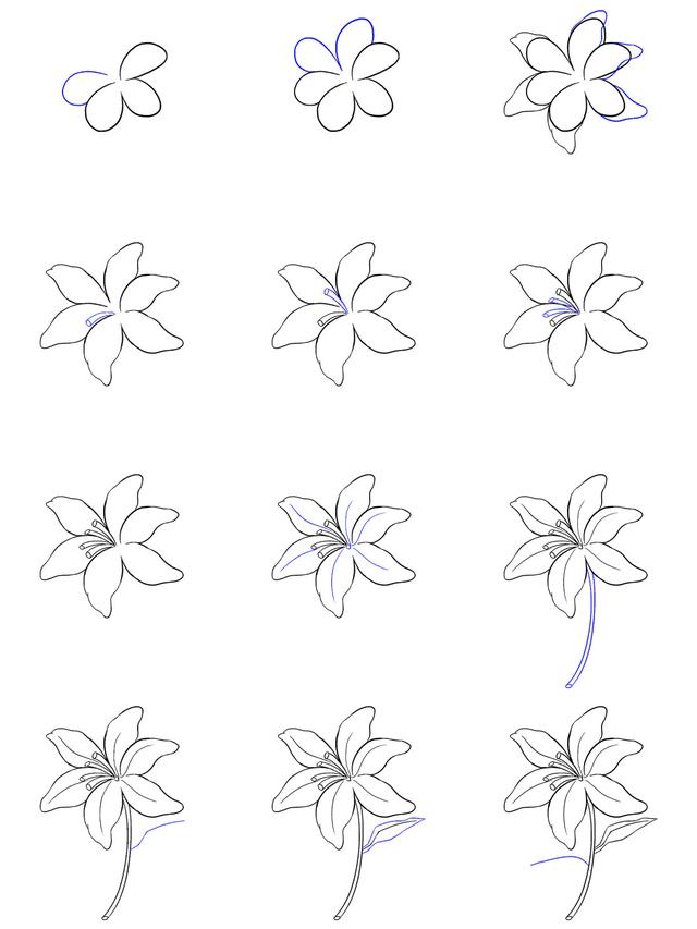 Cara Menggambar Bunga Simpel