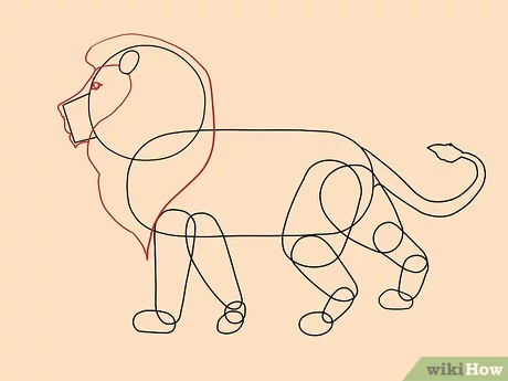 Cara Menggambar Ilustrasi Hewan