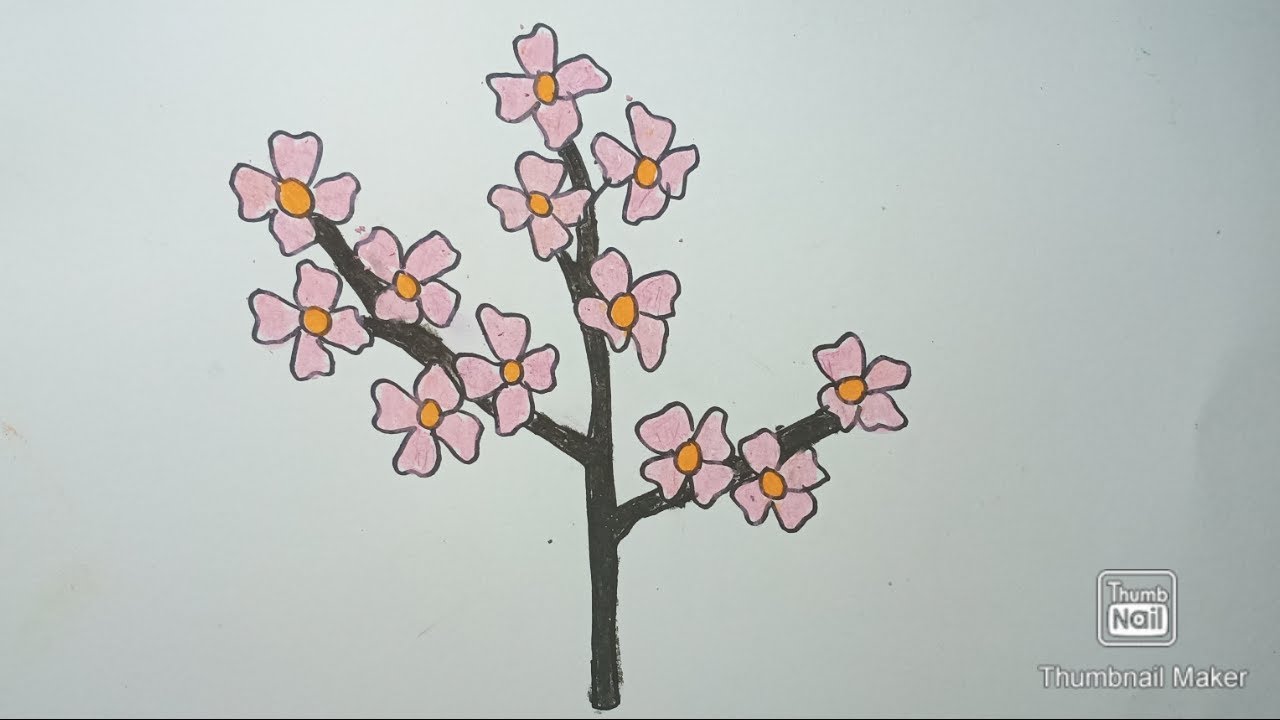 Cara Menggambar Pohon Sakura