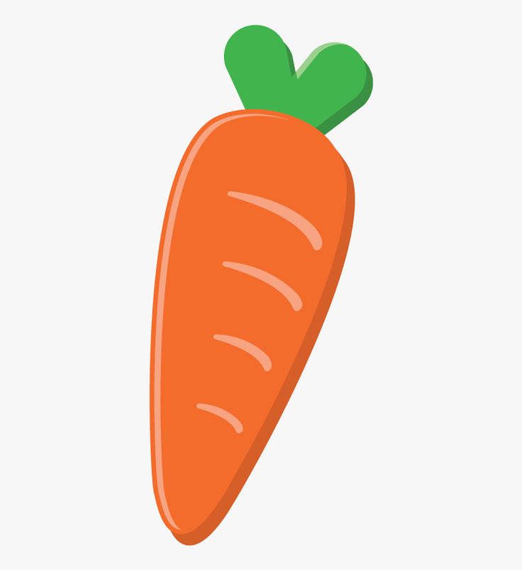 Carrot Drawing Png