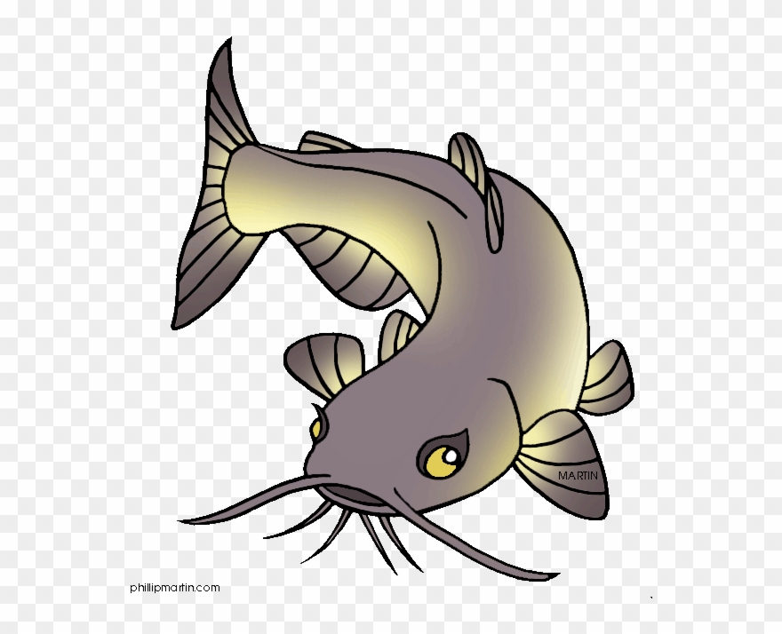 Cat Fish Png