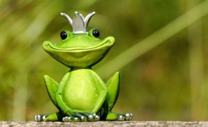 Cerita The Frog Prince