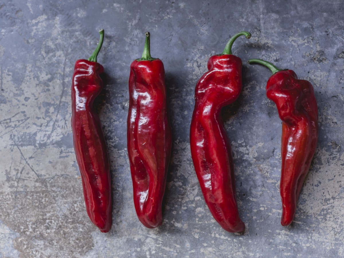 Chile Pepper Images