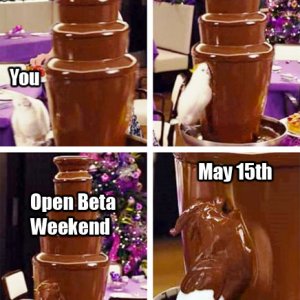 Chocolate Fountain Bird Meme