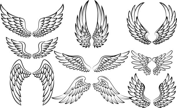 Clip Art Wings