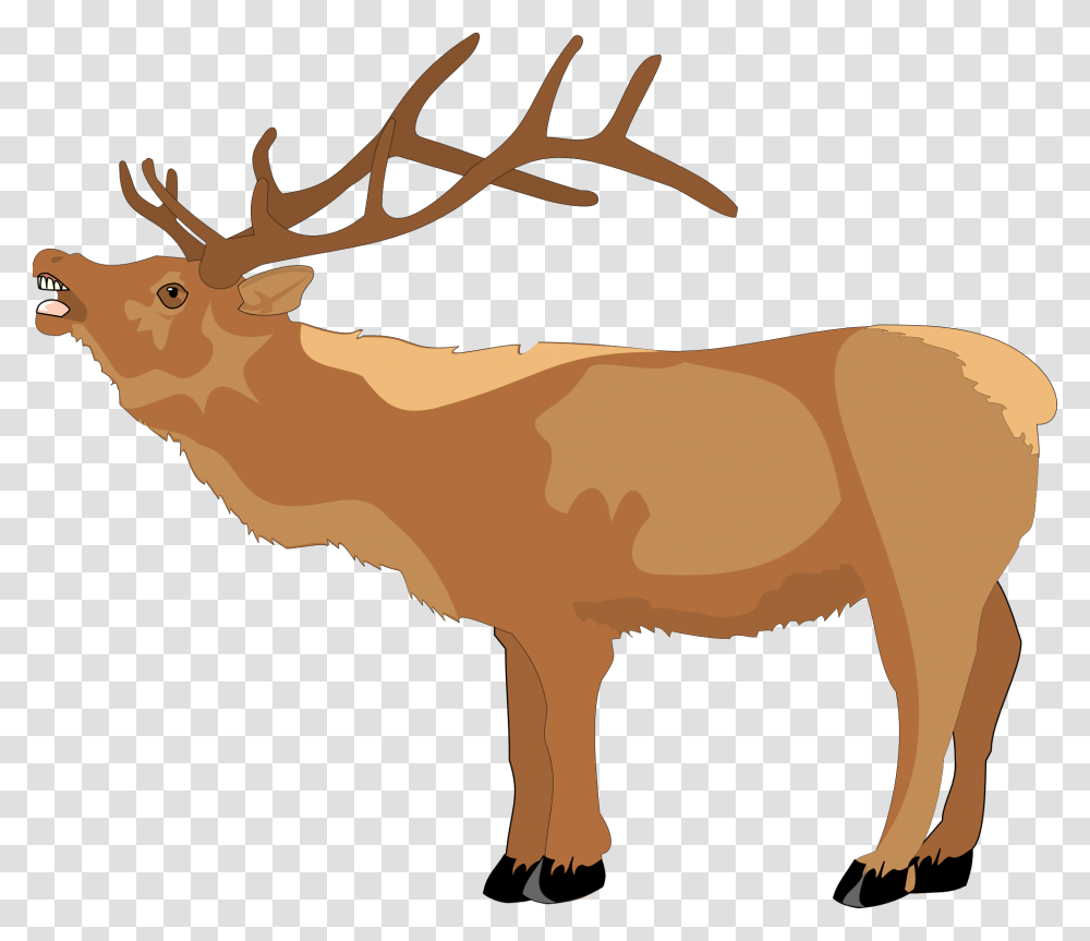 Clipart Elk