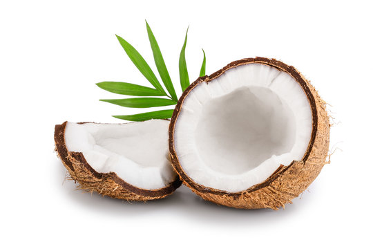 Coconut Images Free