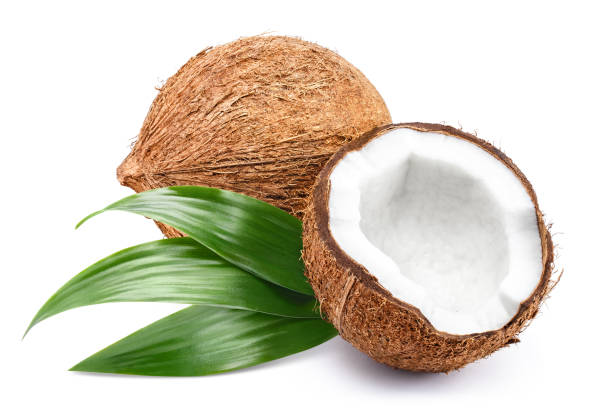 Coconut Images