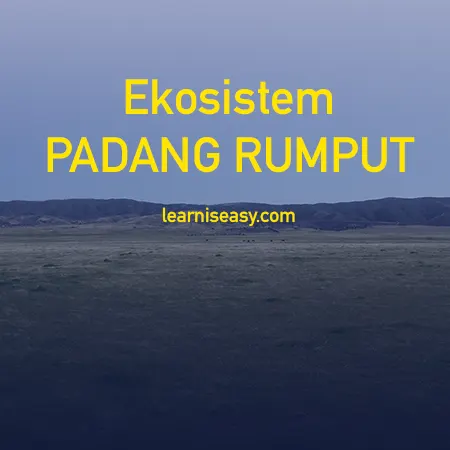 Contoh Ekosistem Padang Rumput