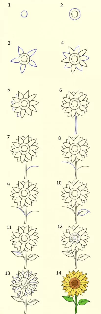 Contoh Gambar Bunga Yang Mudah Ditiru