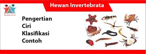 Contoh Hewan Invertebrata Dan Vertebrata