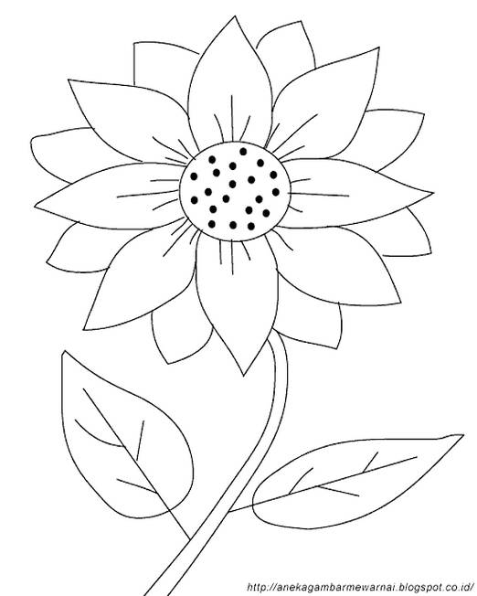 Contoh Sketsa Gambar Bunga Yang Gampang