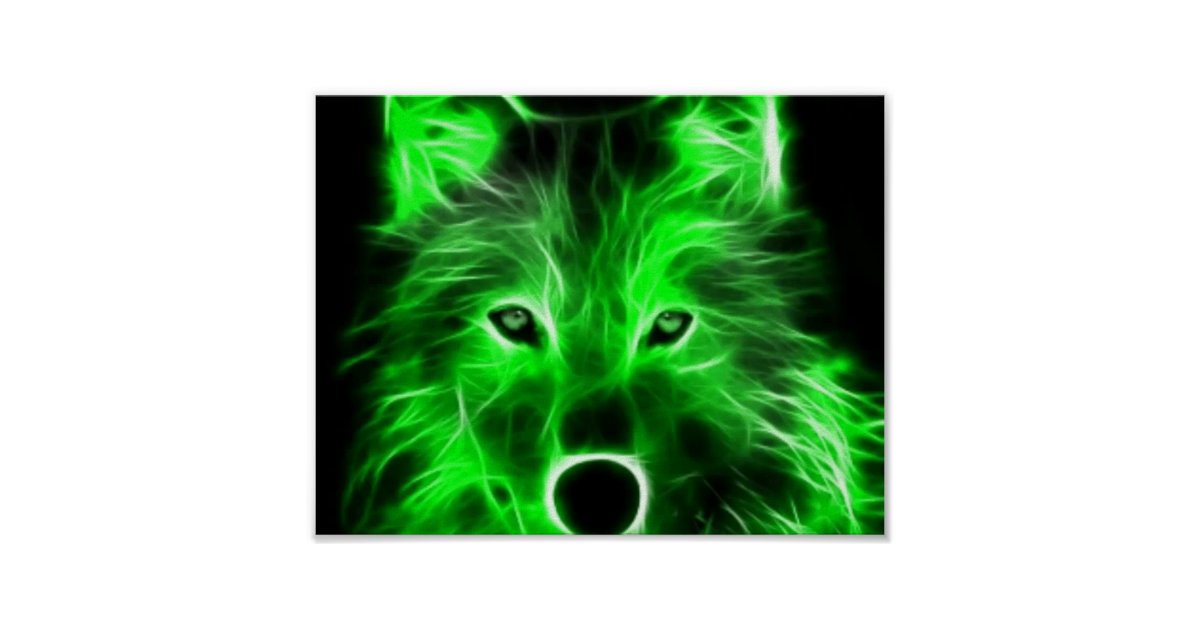 Coole Wolf Bilder