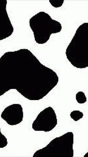 Cow Print Background Iphone