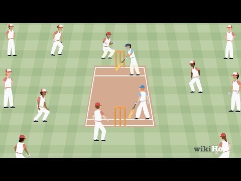 Cricket Play Image
