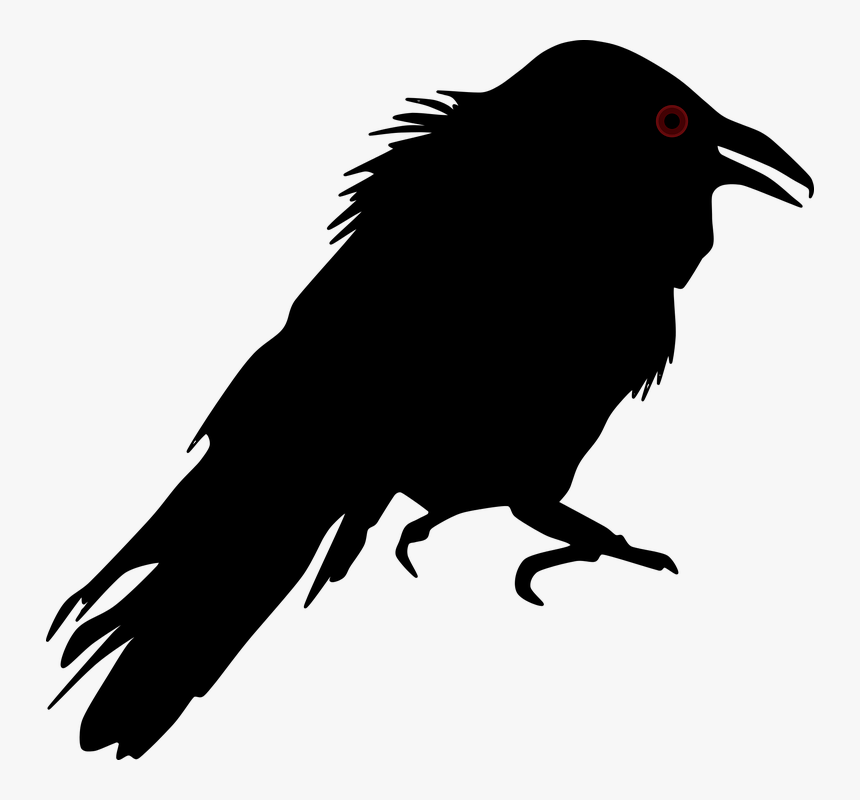 Crow Silhouette Png