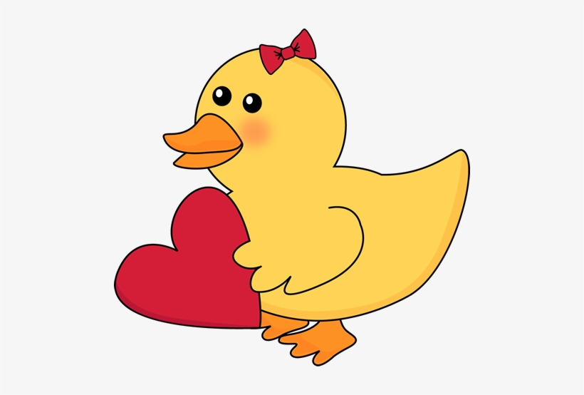 Cute Duck Png