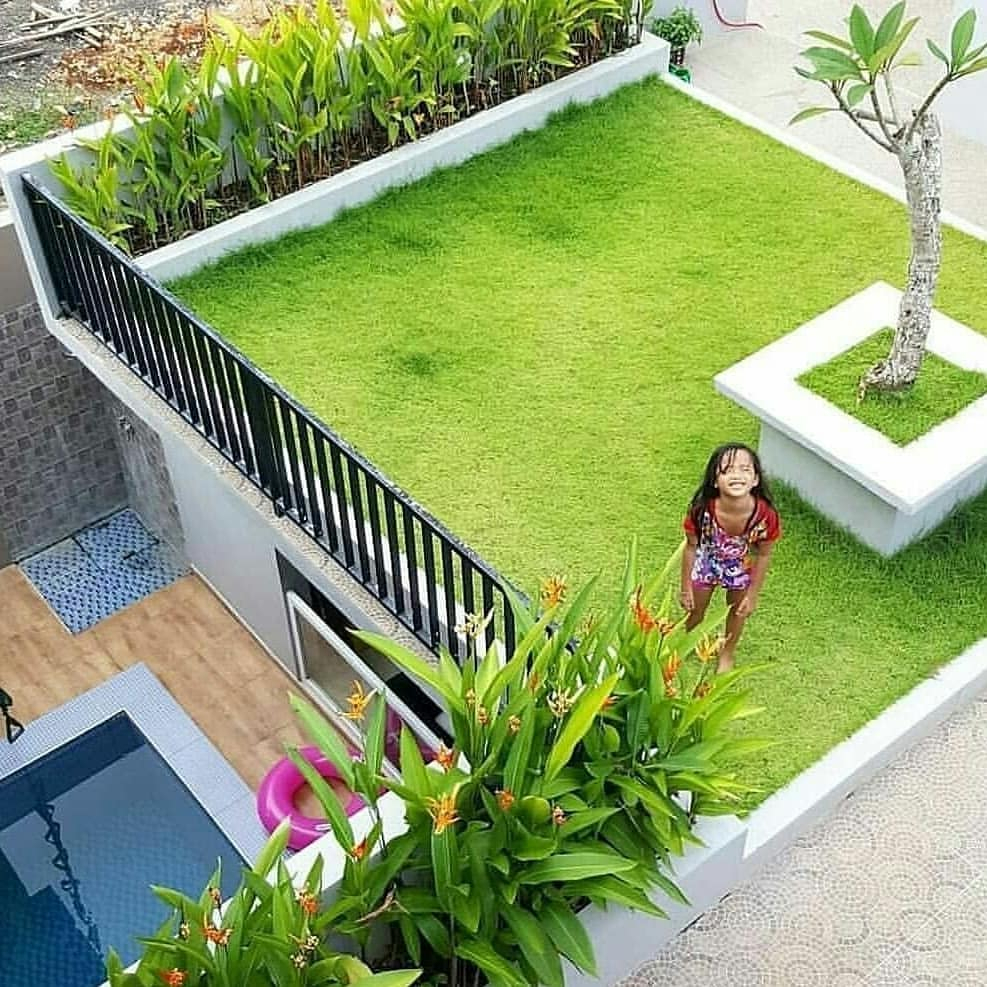 Desain Rumah Minimalis Dengan Rooftop