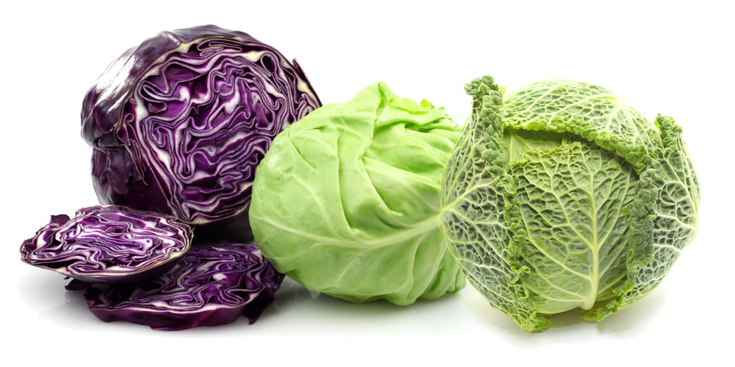 Different Kinds Of Cabbage With Pictures