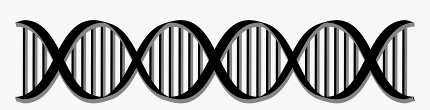 Dna Clipart Png